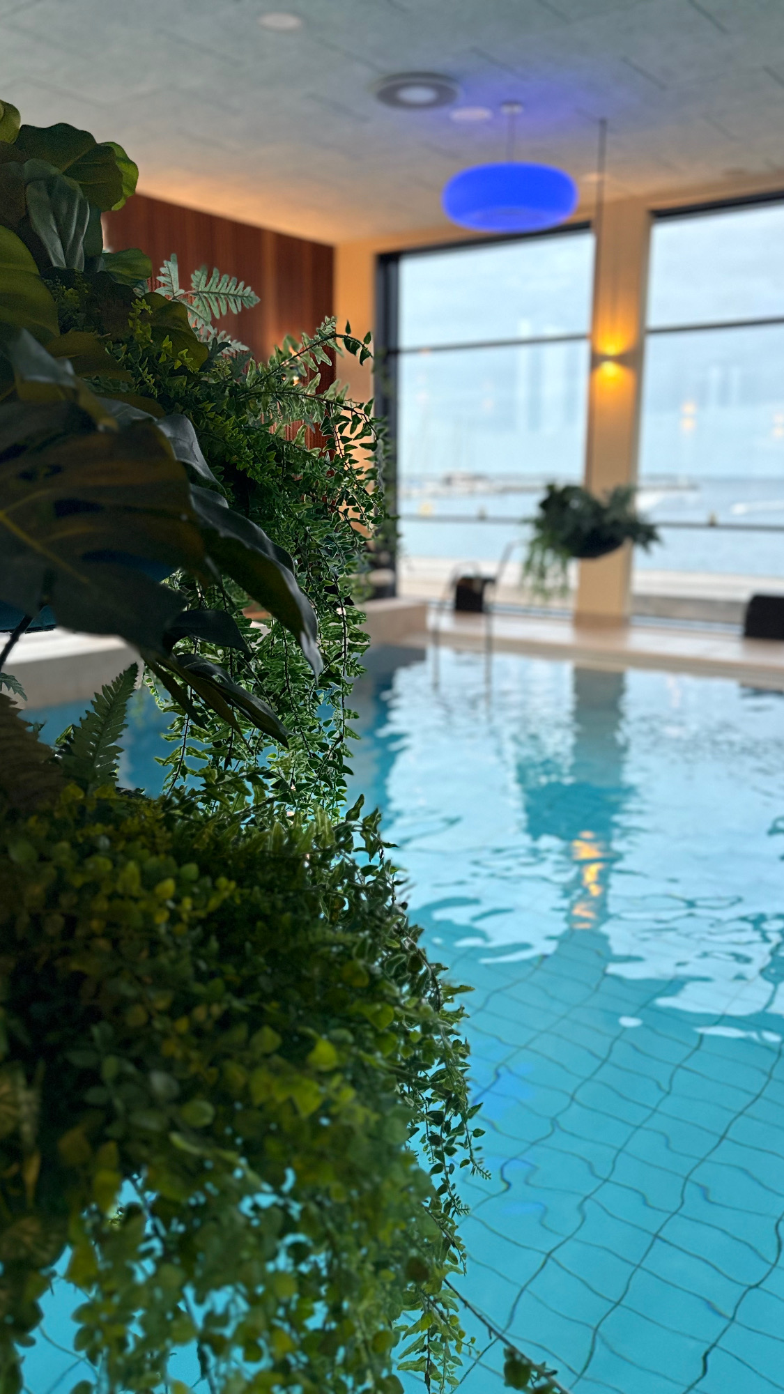 87819400 5E05 4A9F A917 53BAC4D7A9F6